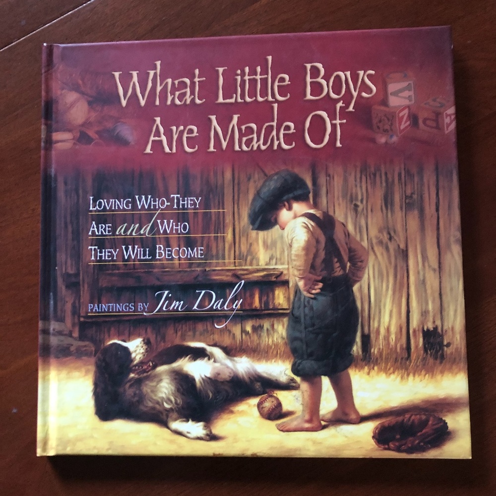 A great book like new!  What Little Boys are Made Of
